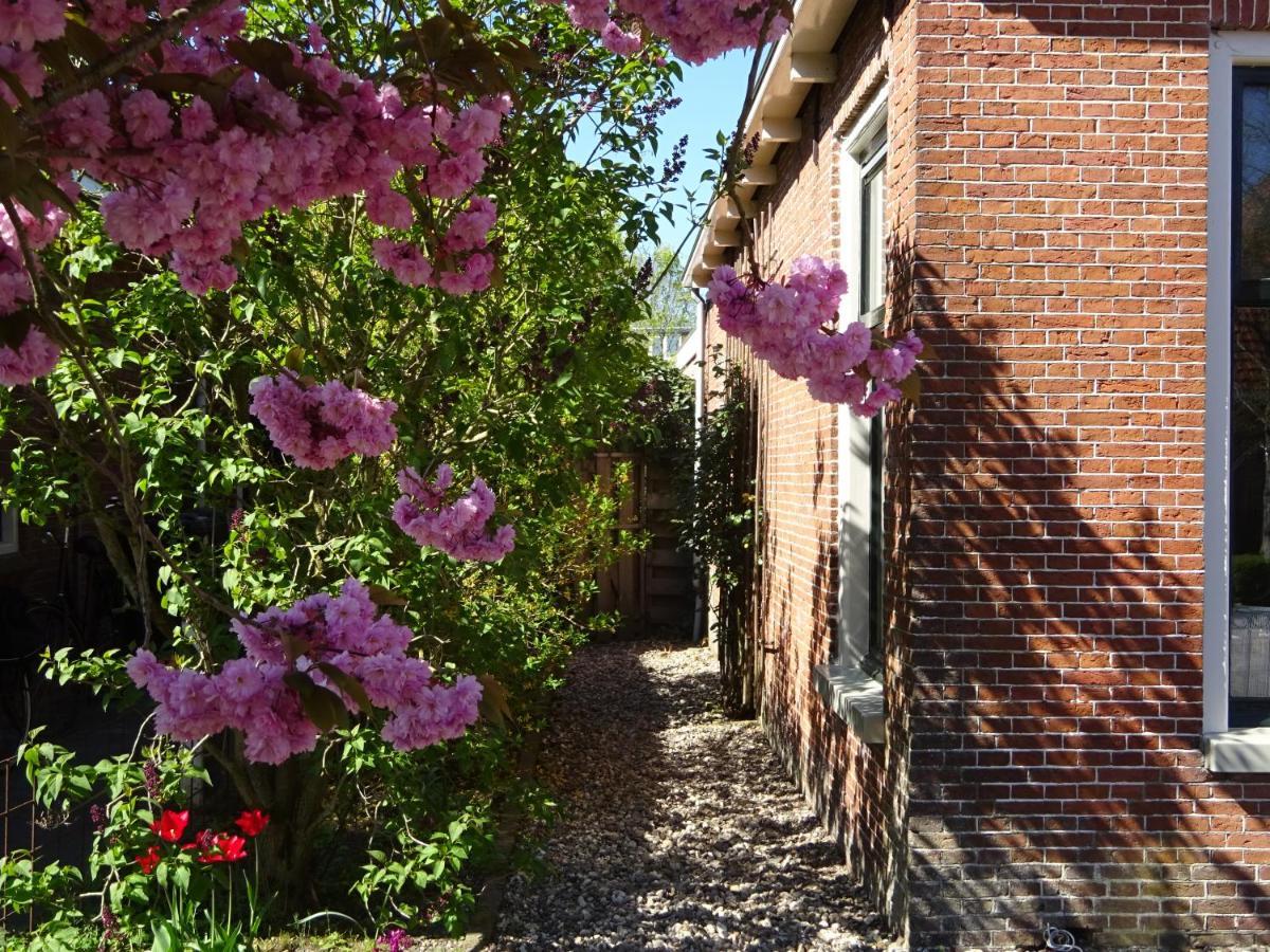D' Ald Skoalle - Sfeervol Appartement In Oude School. Wijtgaard Exteriör bild